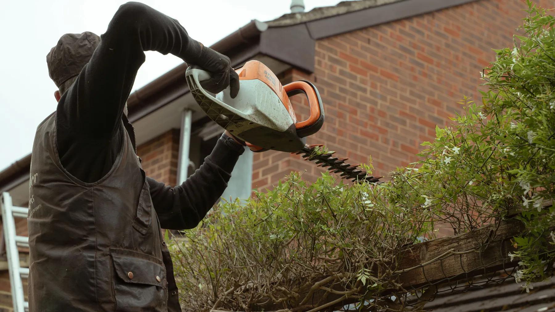 Hedge and boundary maintenance
