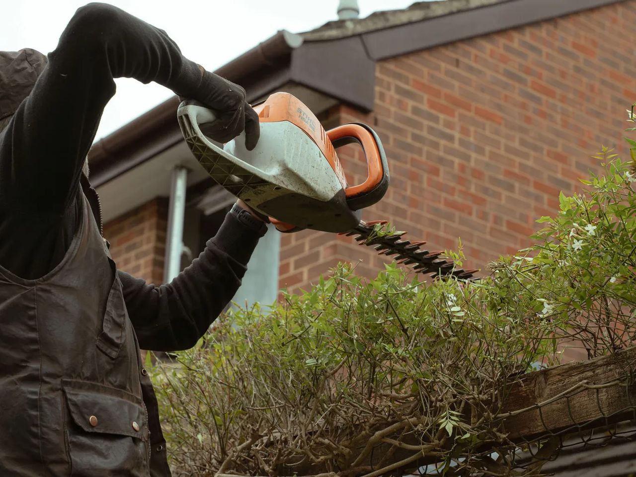 Hedge and boundary maintenance