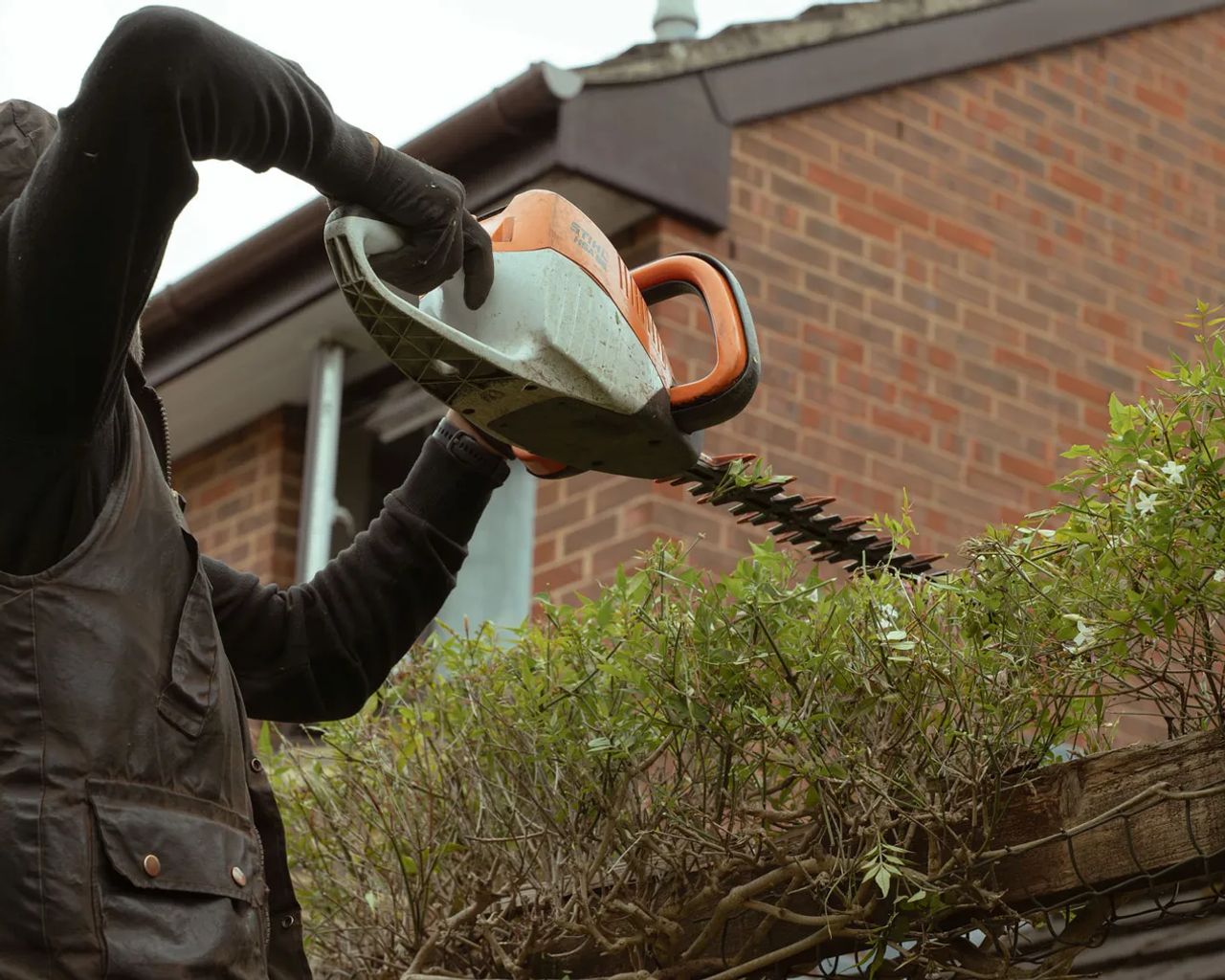 Hedge and boundary maintenance