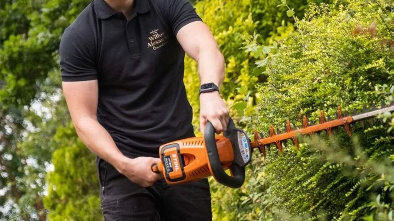 A Guide to Spring Pruning: Preparing Your Garden for the Growing Season