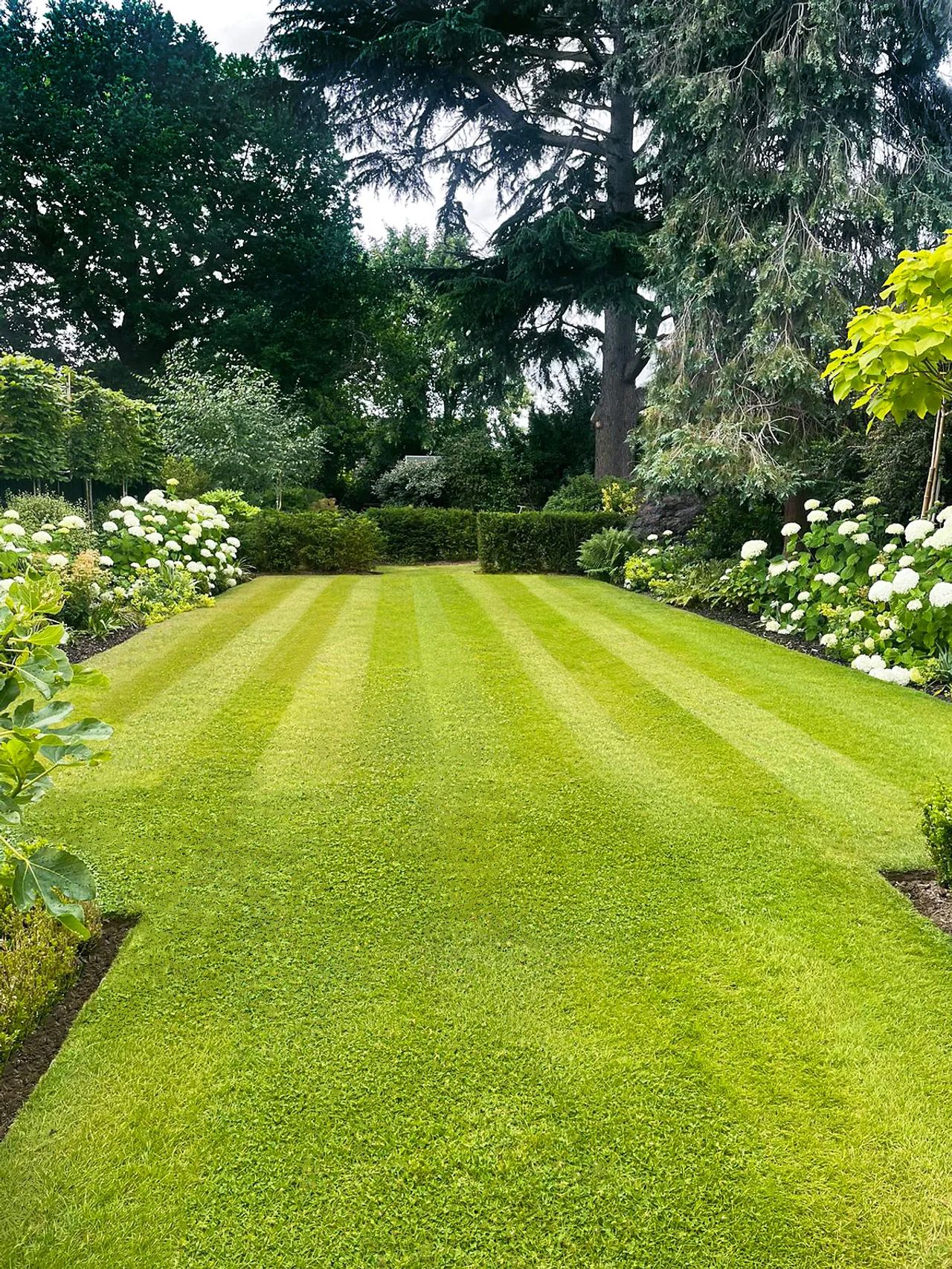 Commercial Grounds Maintenance gallery image 6