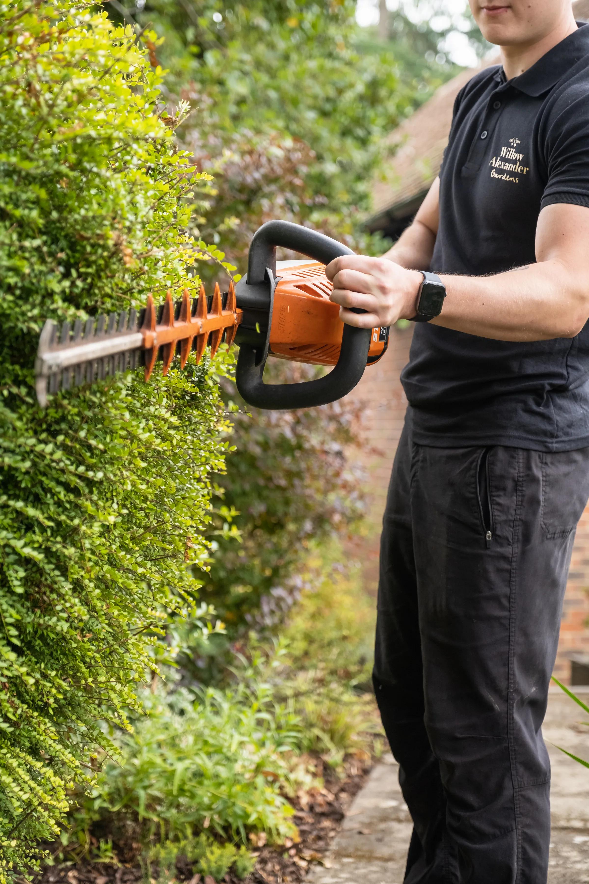 Hedge & Boundary Maintenance gallery image 3