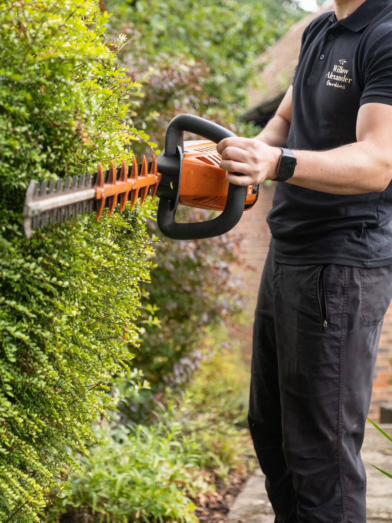 Hedge & Boundary Maintenance gallery image 3
