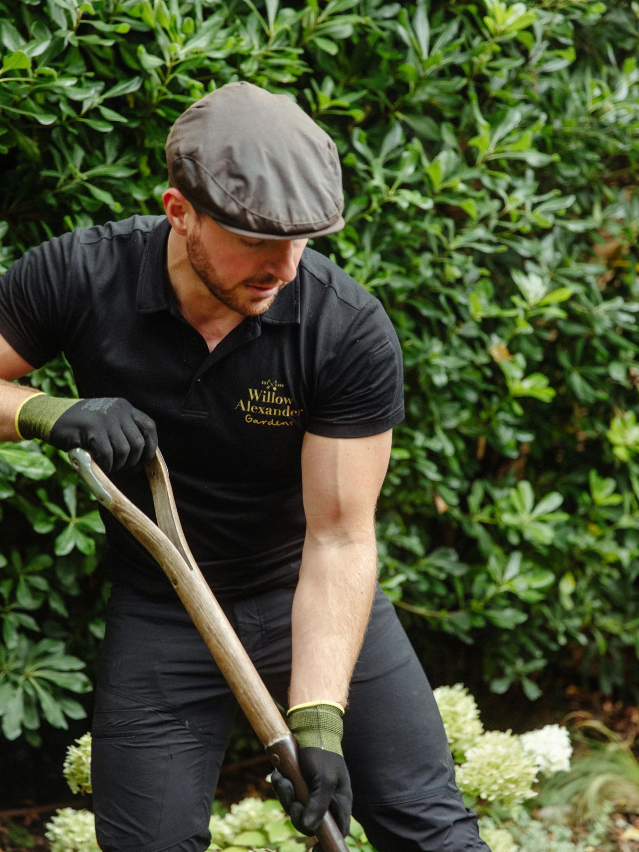 Planting gallery image 6