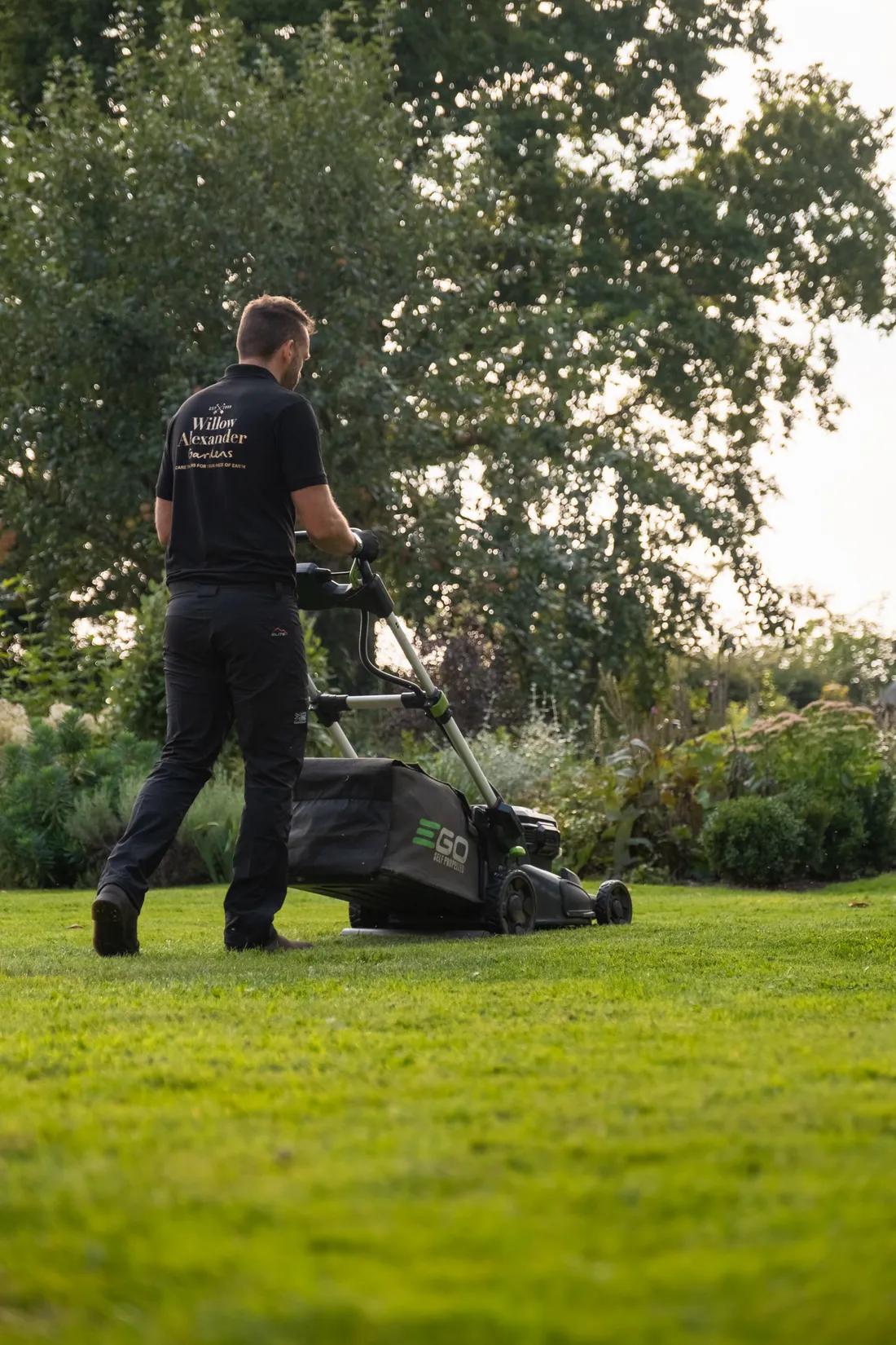 A lawn we care for
