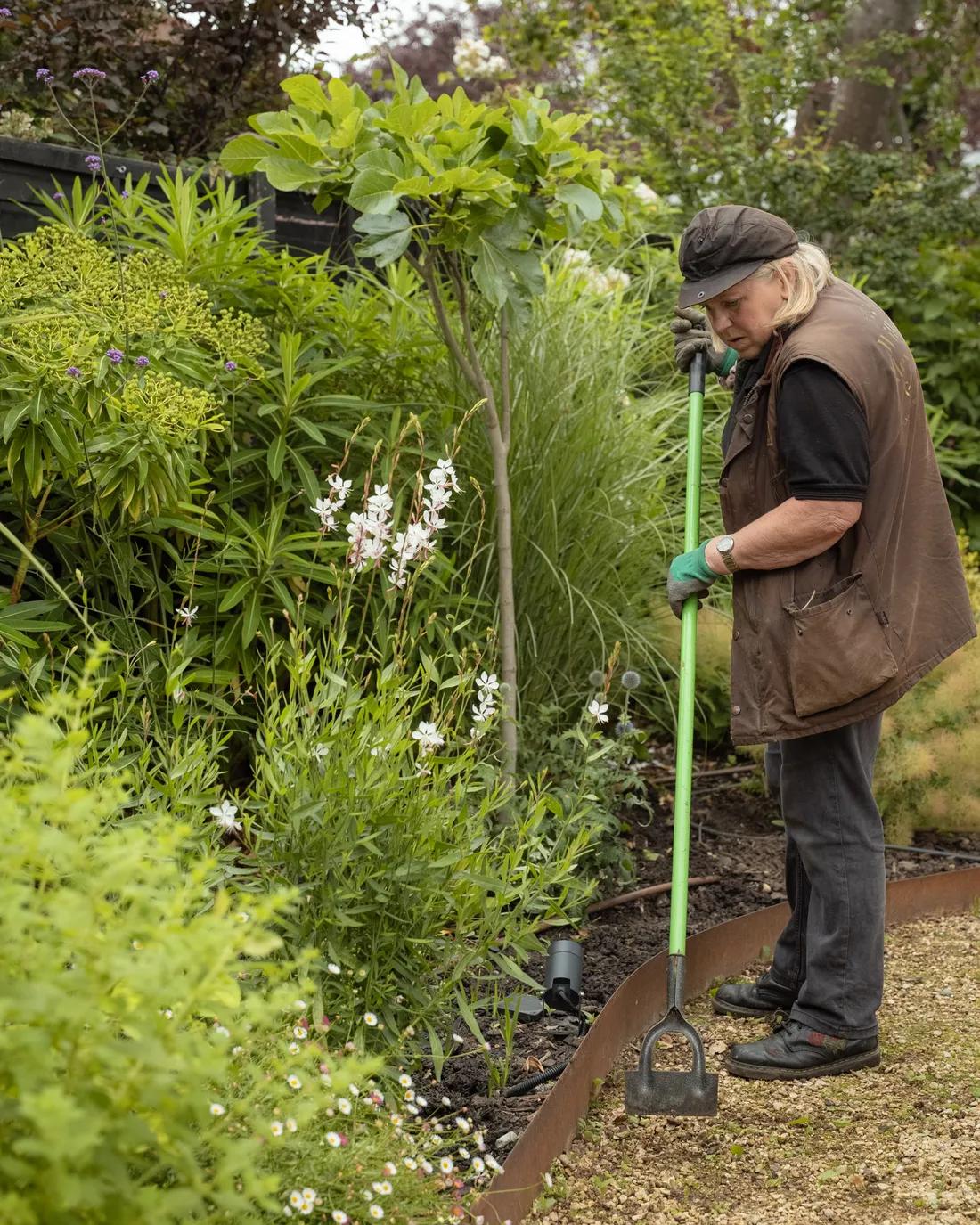 A garden we maintain
