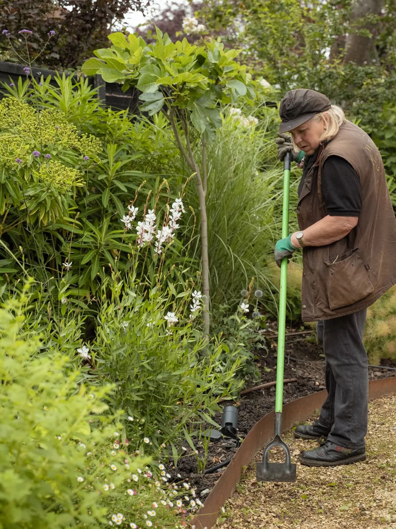 A garden we maintain
