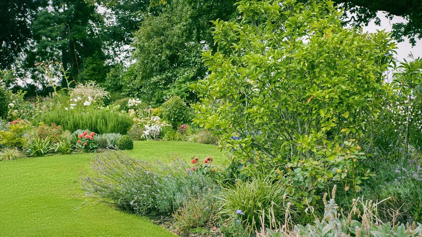 English Cottage Garden