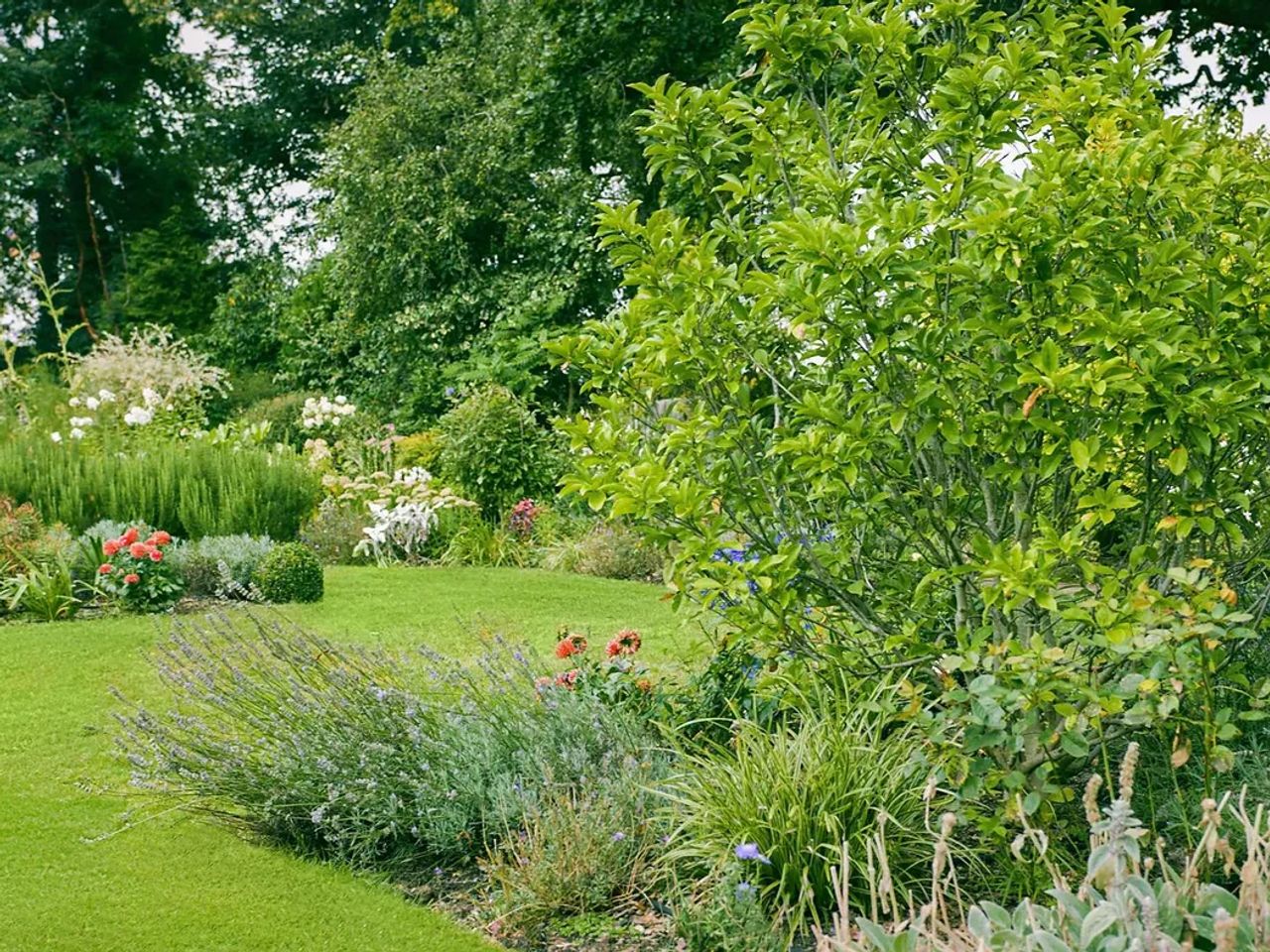 English Cottage Garden