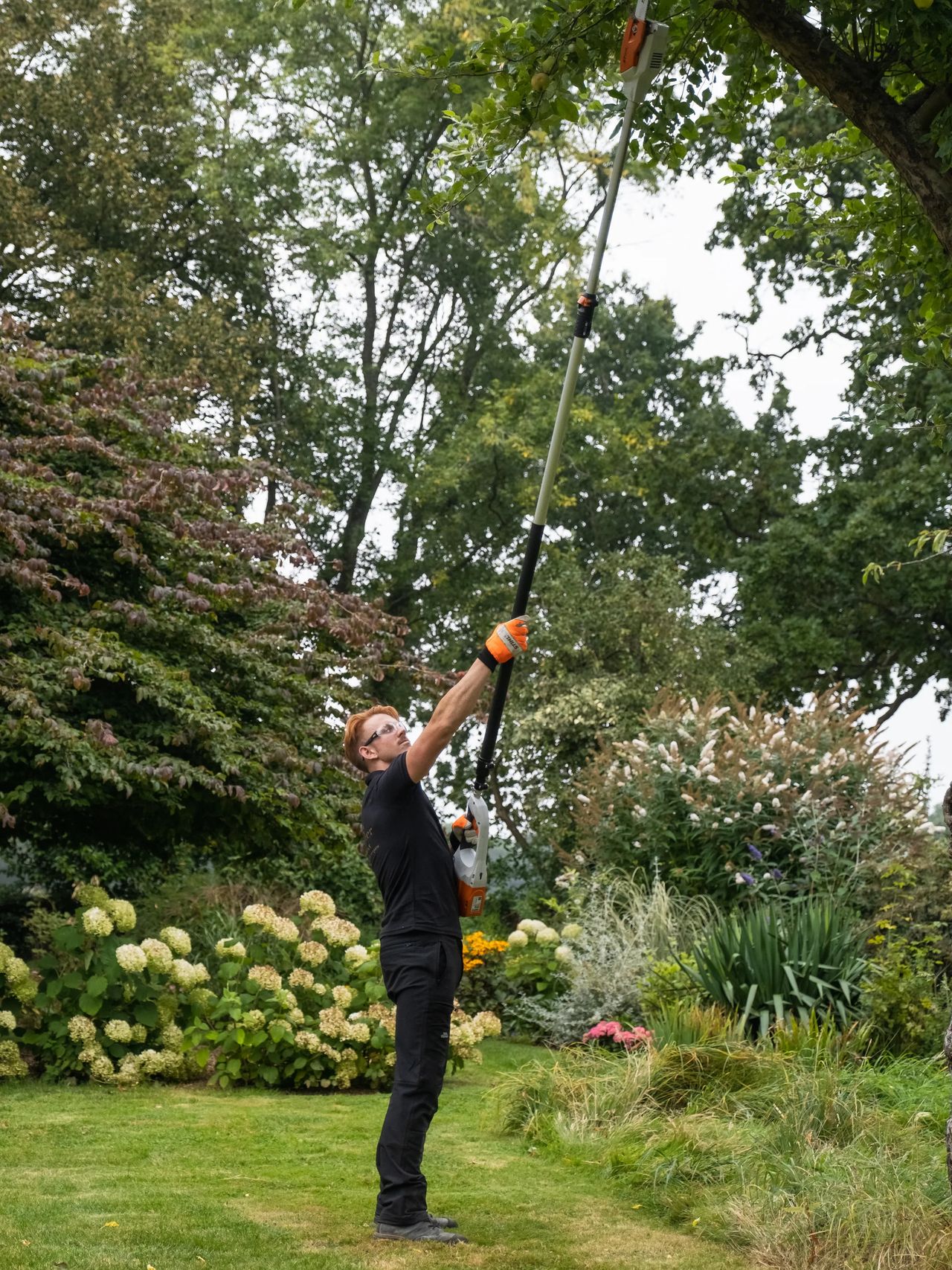 Tree Surgery gallery image 6