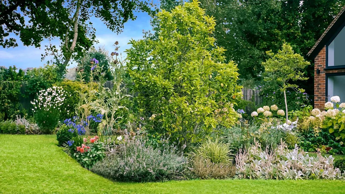English Cottage Garden