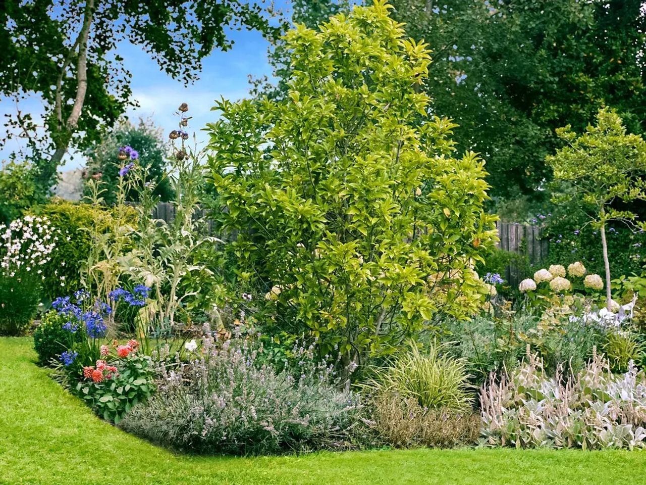 English Cottage Garden
