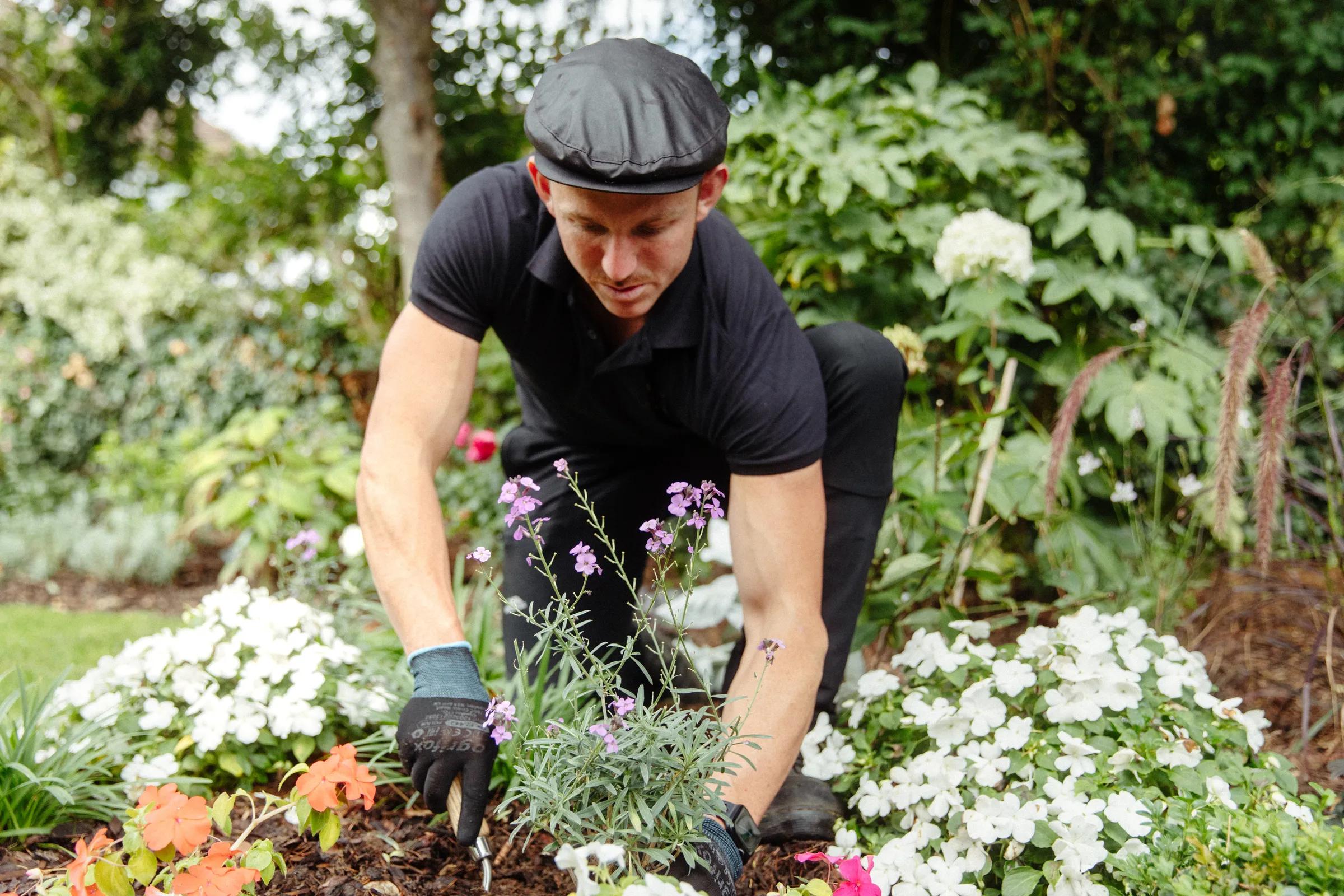 Planting gallery image 3