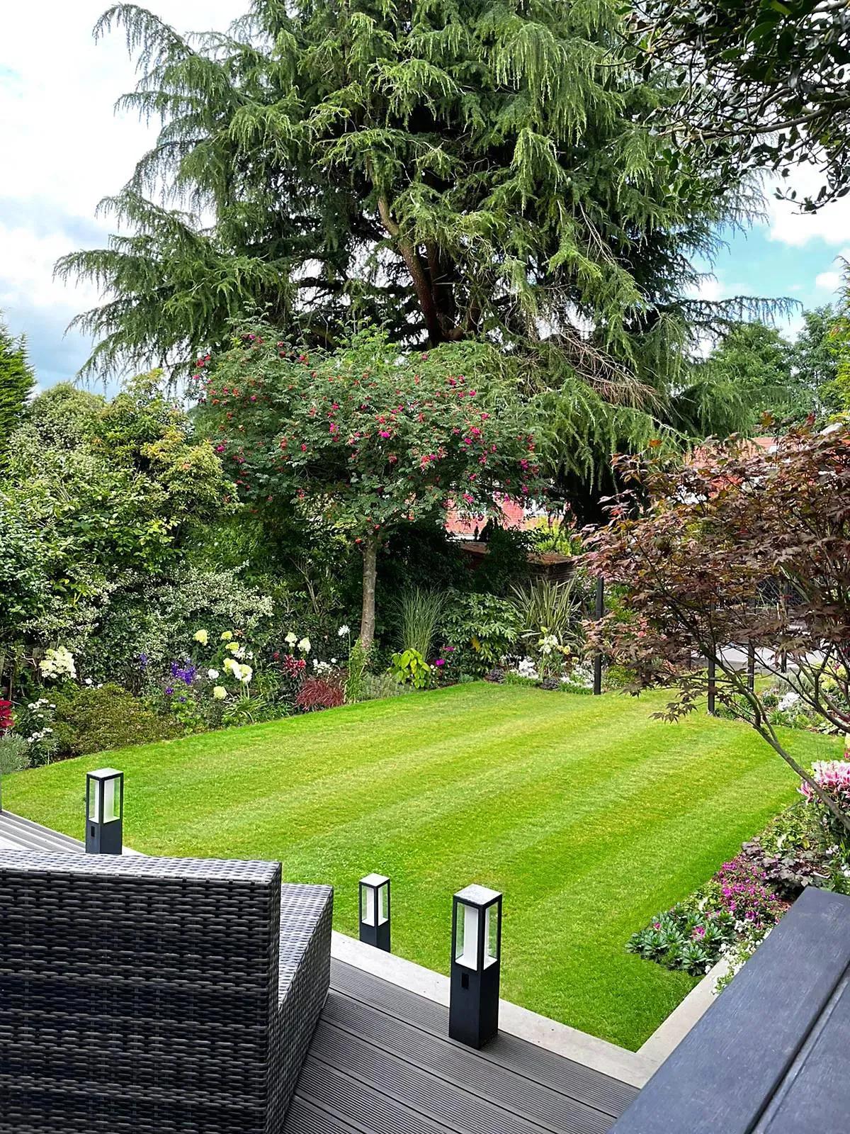 Modern Cottage Garden