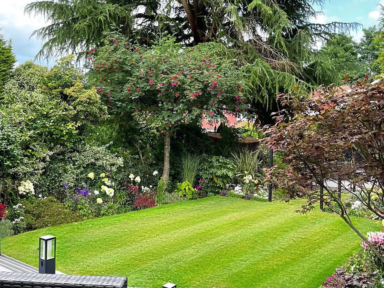 Modern Cottage Garden