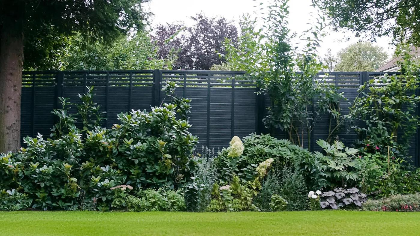 Modern Cottage Garden