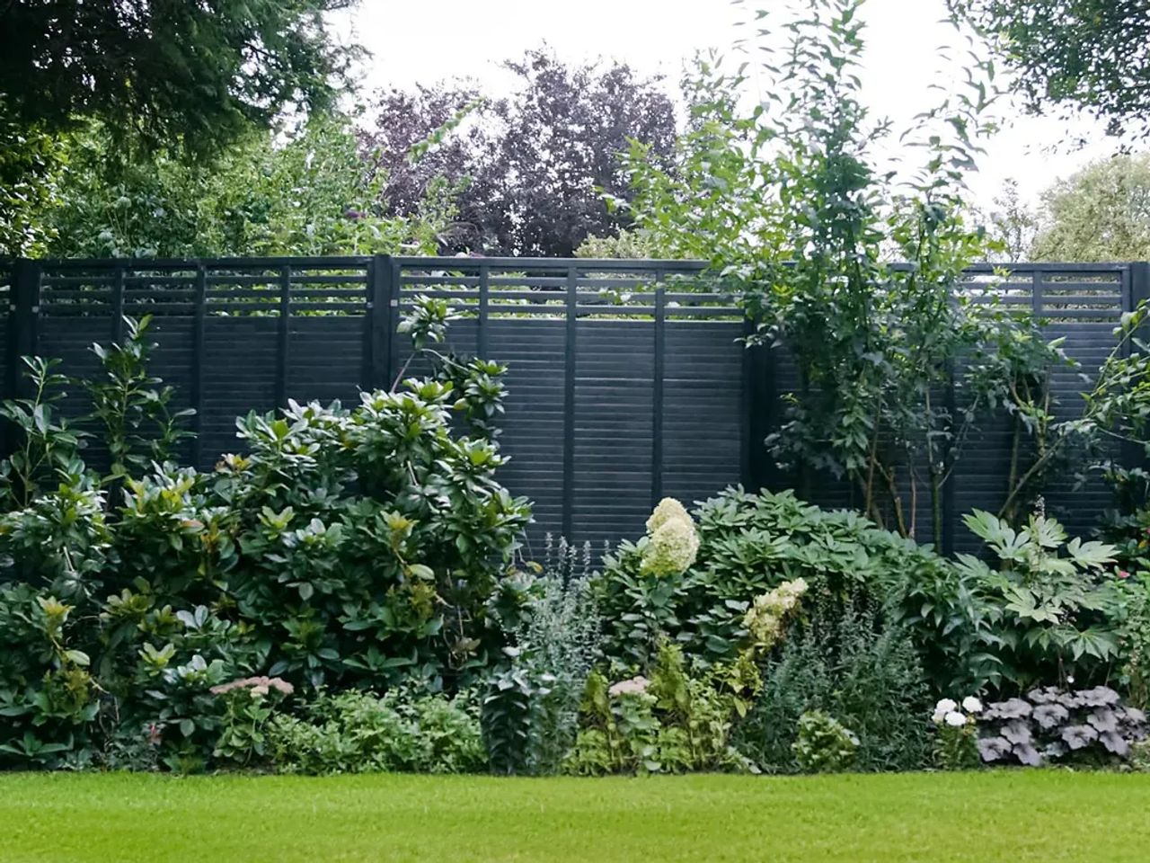 Modern Cottage Garden