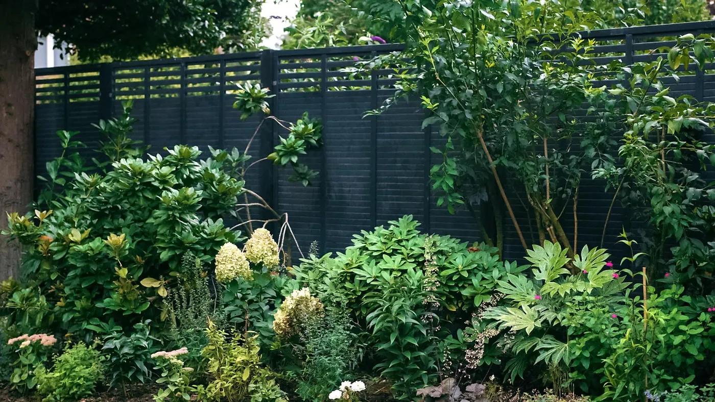 Modern Cottage Garden