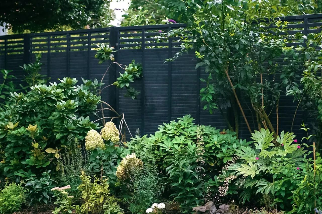 Modern Cottage Garden