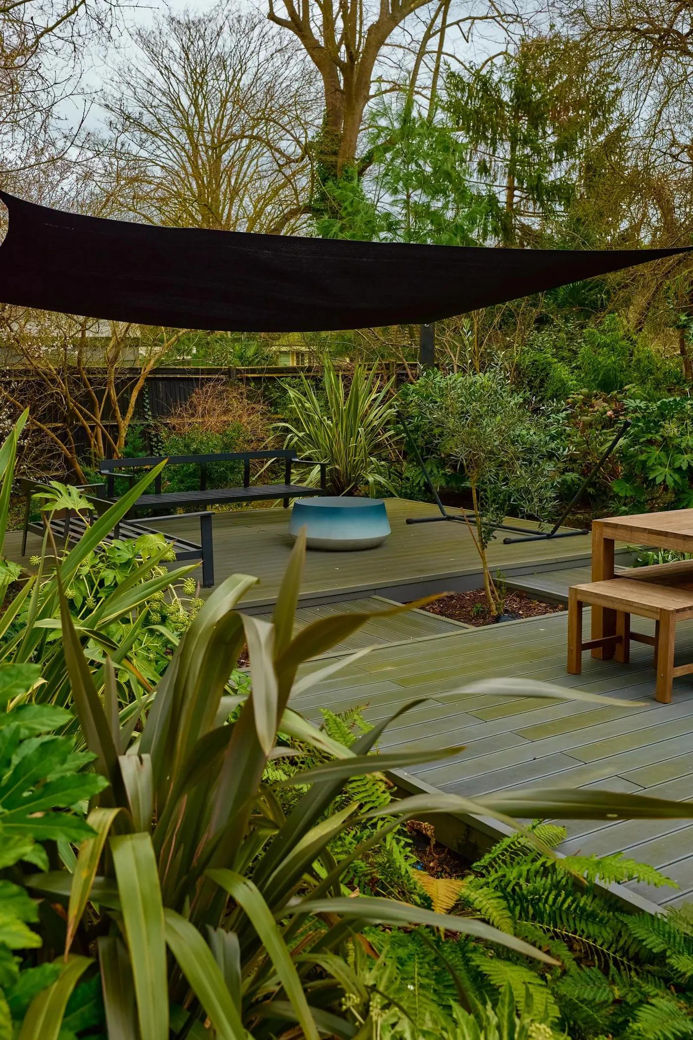 Tropical Garden