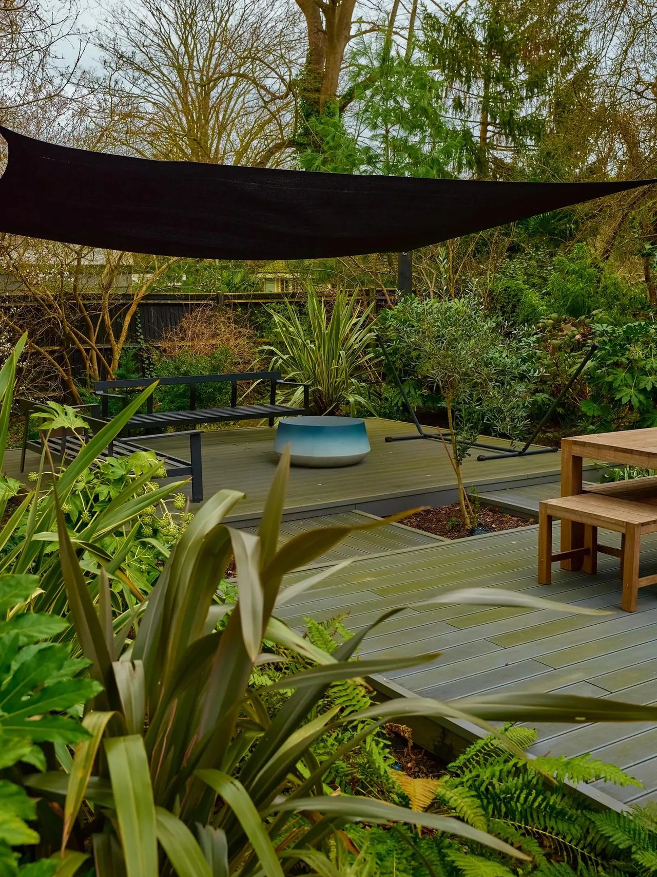 Tropical Garden