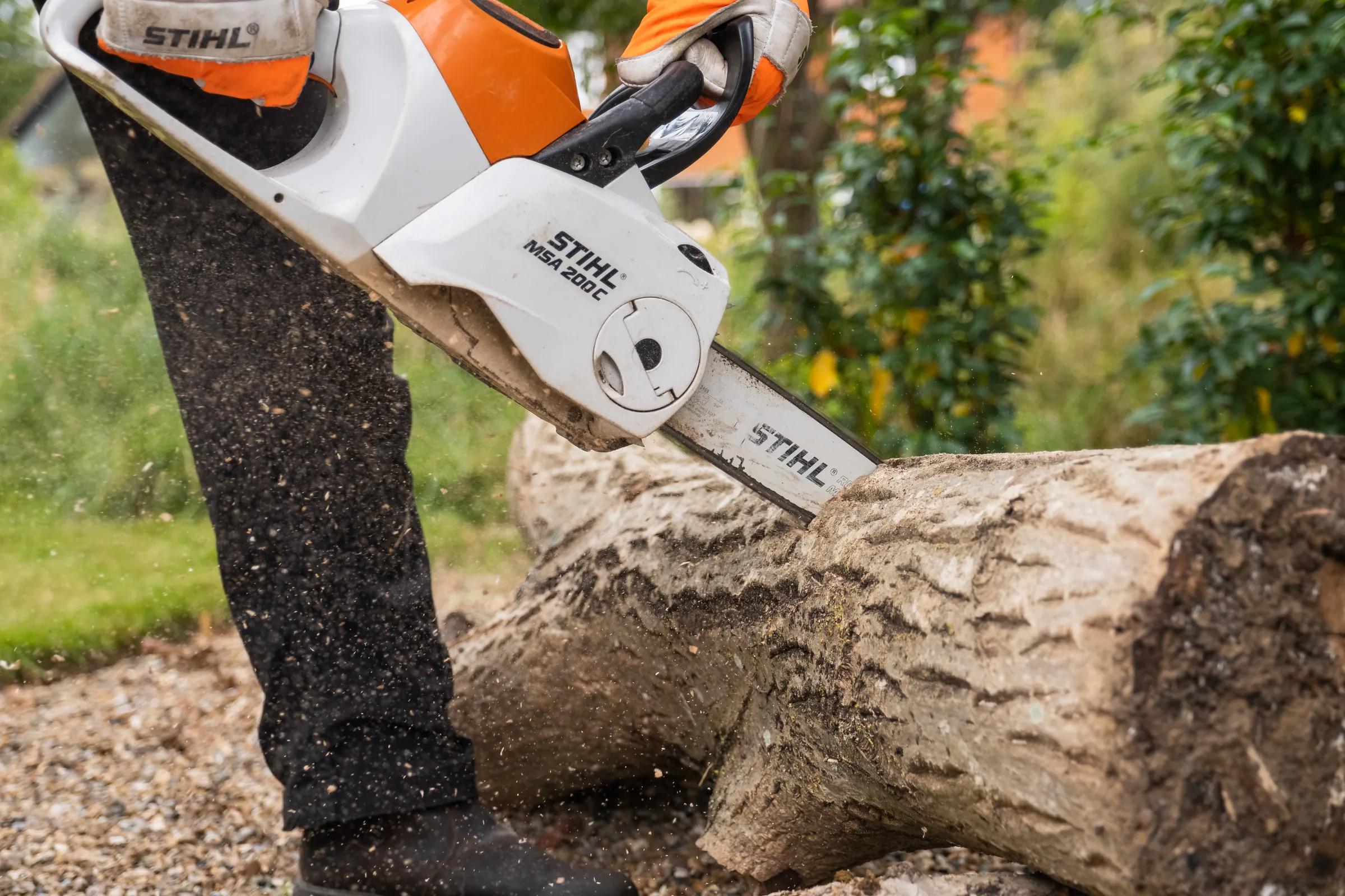 Tree Surgery