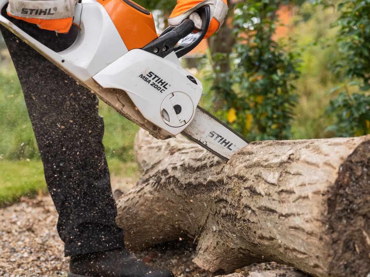 Tree Surgery