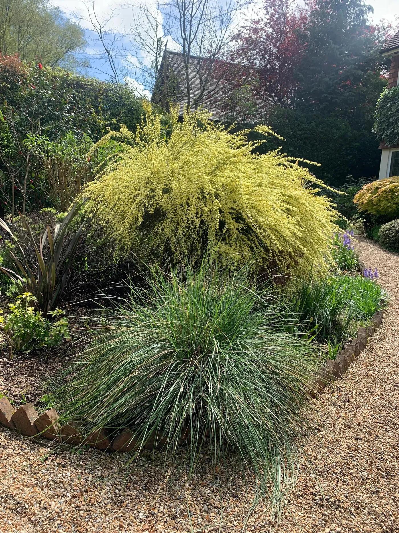Gravel Garden