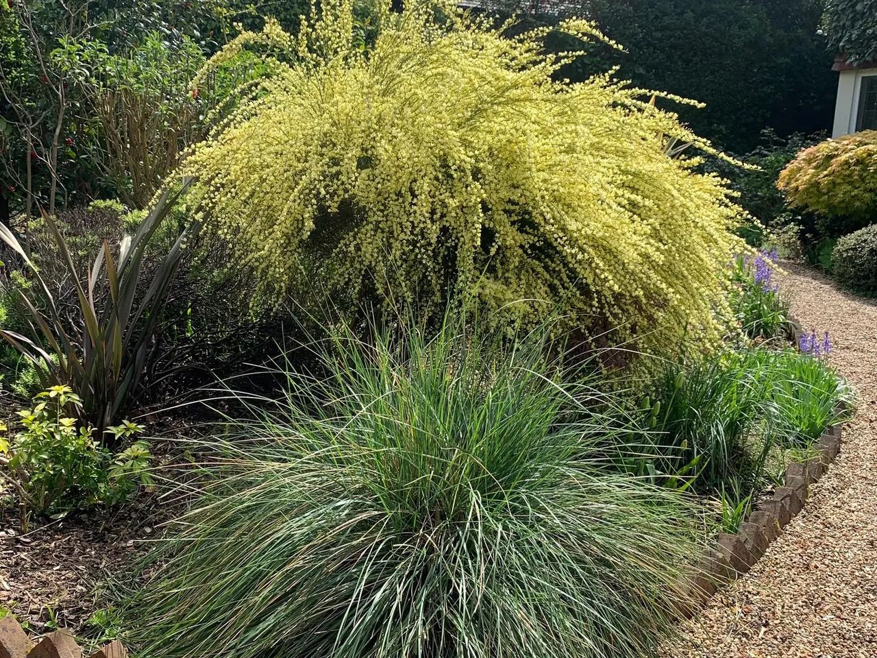 Gravel Garden