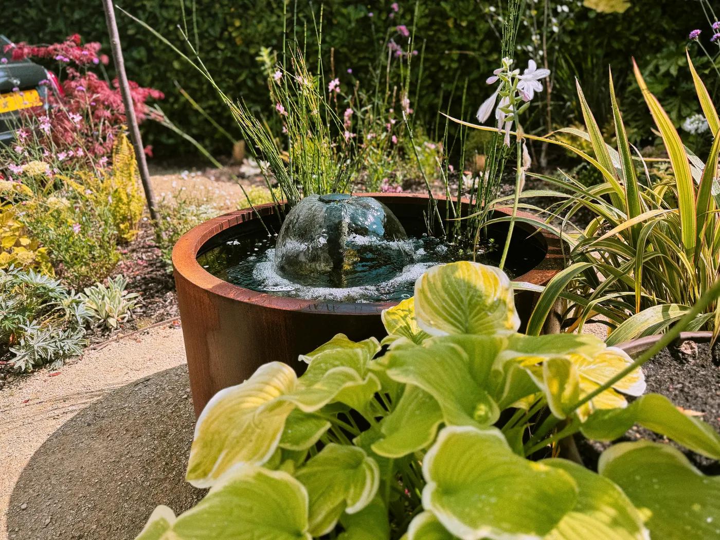 Front Garden