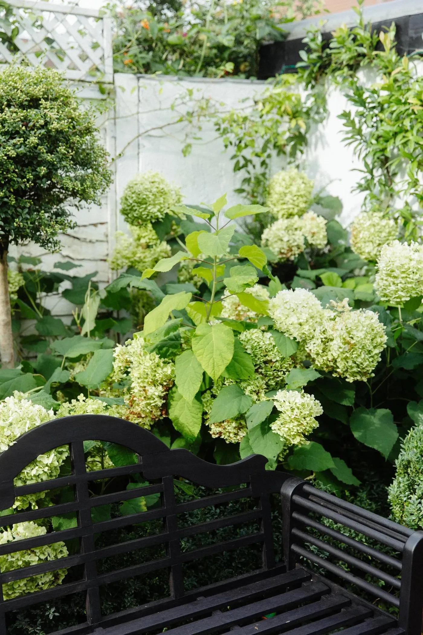 White Garden
