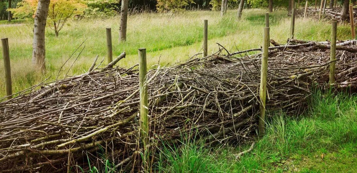 Dead Hedging