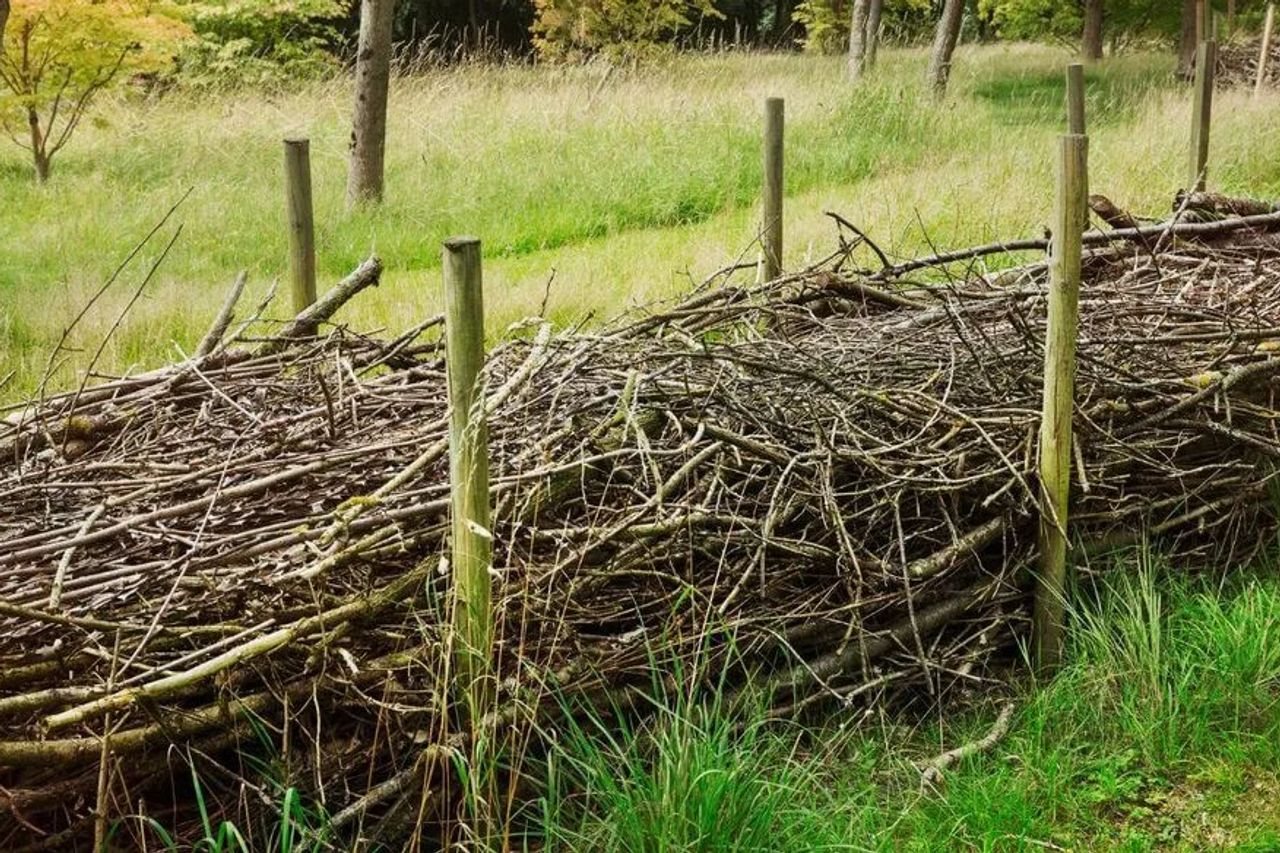 Dead Hedging