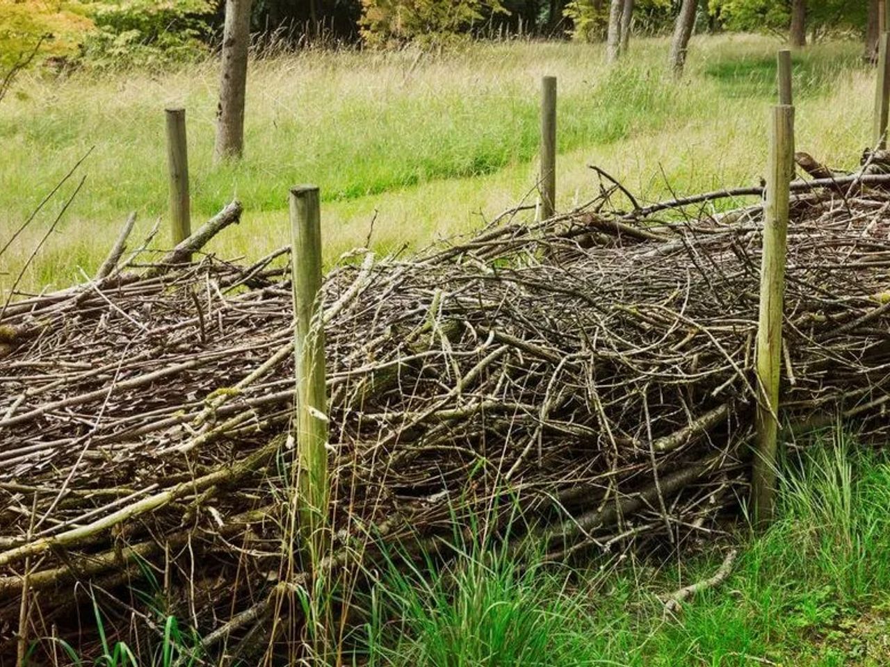 Dead Hedging