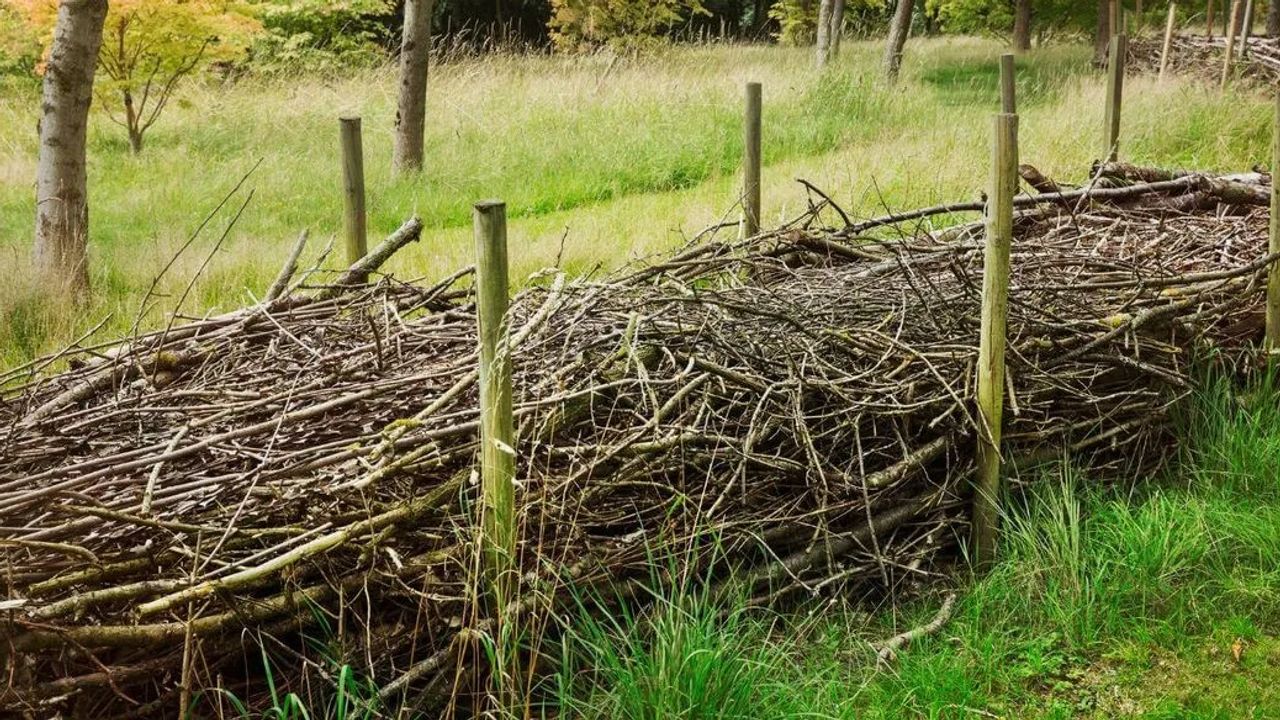 Dead Hedging