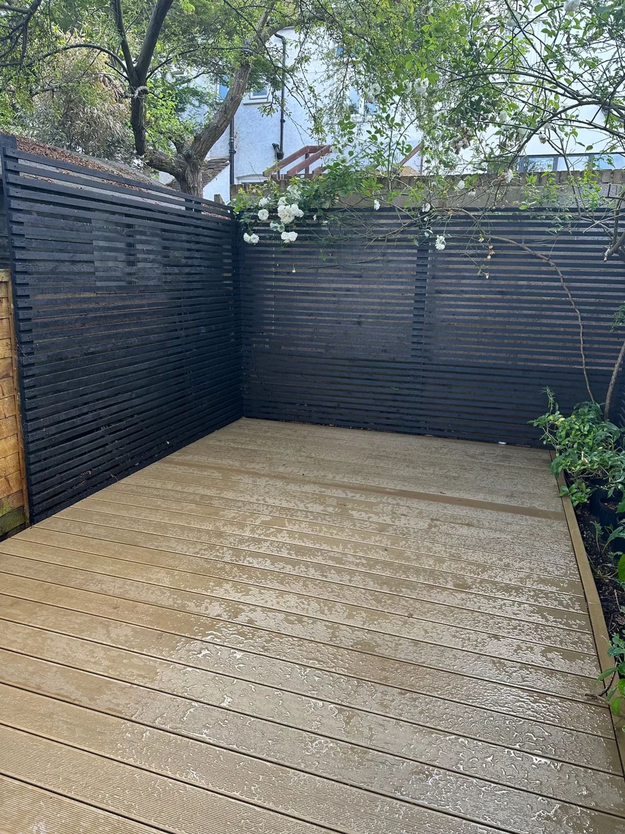 A garden we've restored