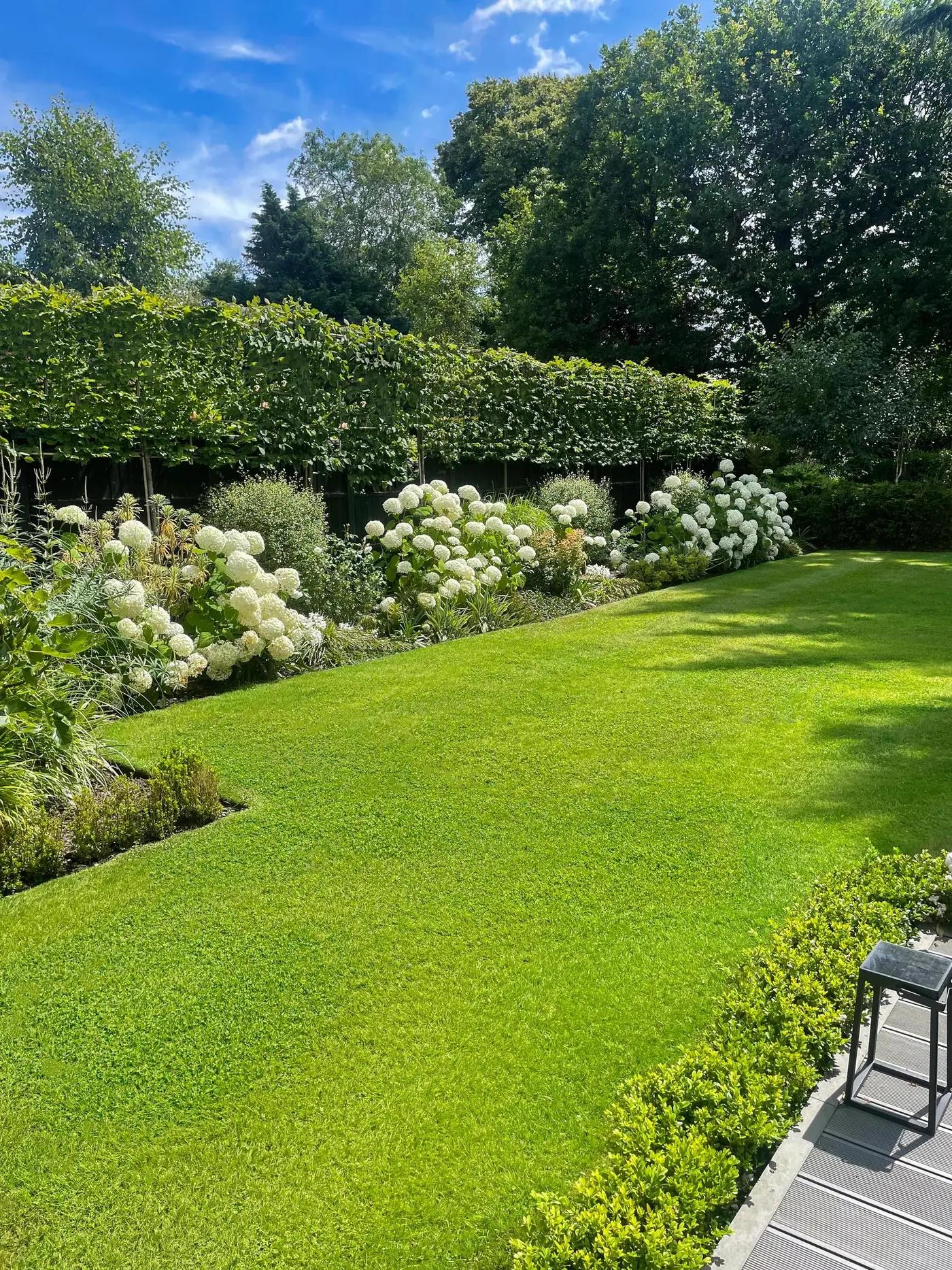Large Formal Family Garden
