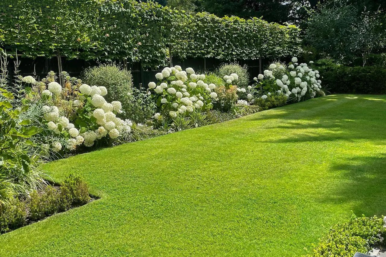 Large Formal Family Garden