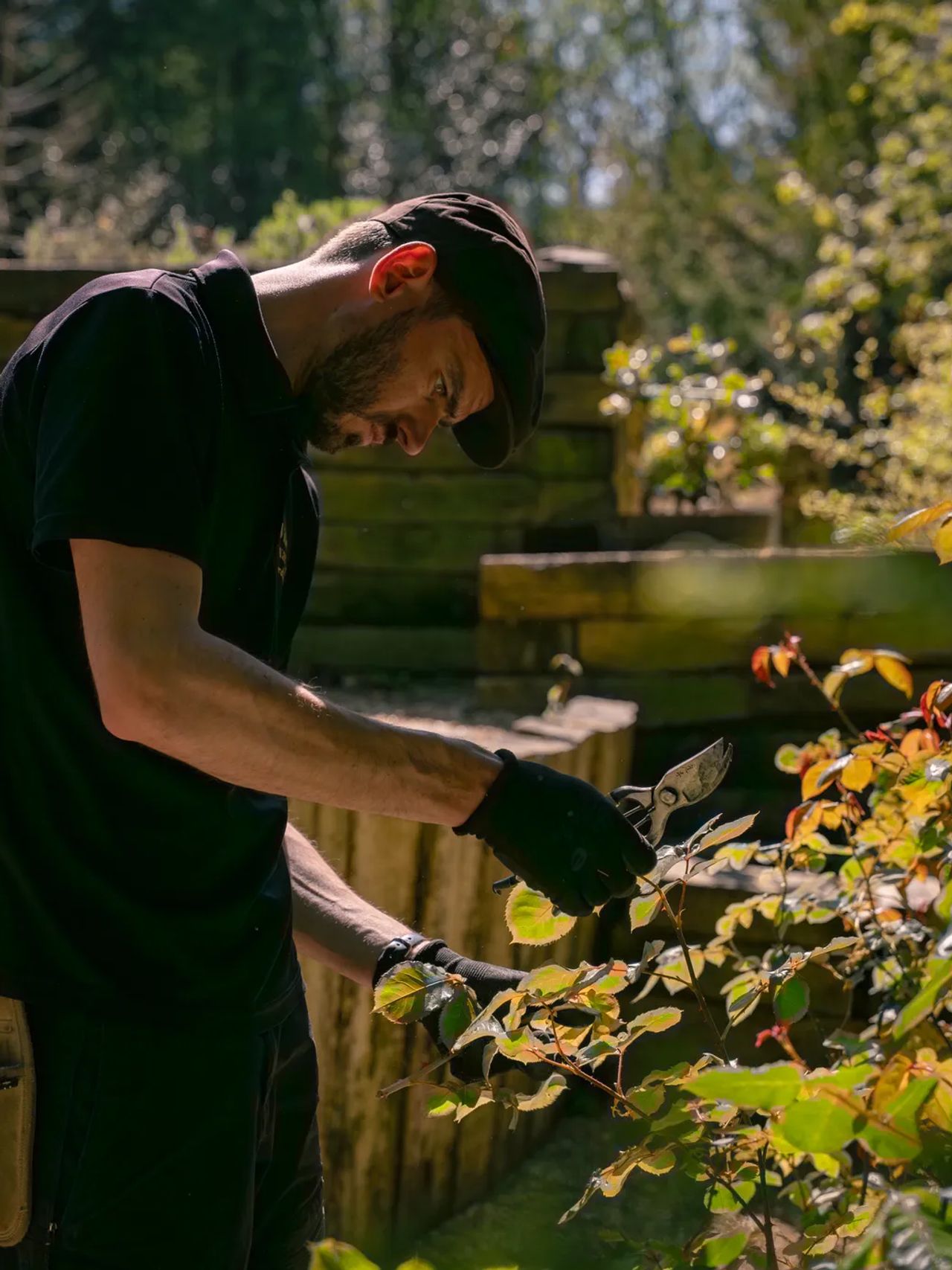 A garden we maintain