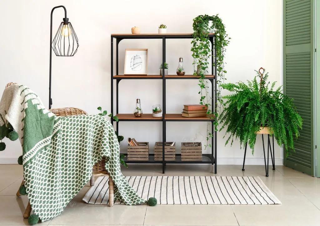 Caring for Your Houseplants During the Colder Months
