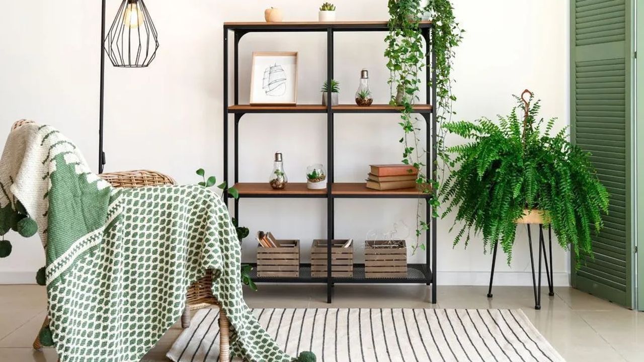 Caring for Your Houseplants During the Colder Months