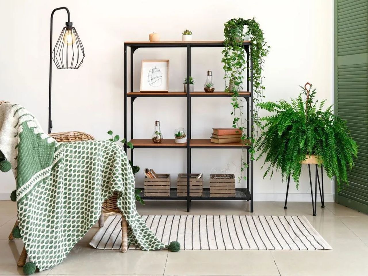 Caring for Your Houseplants During the Colder Months