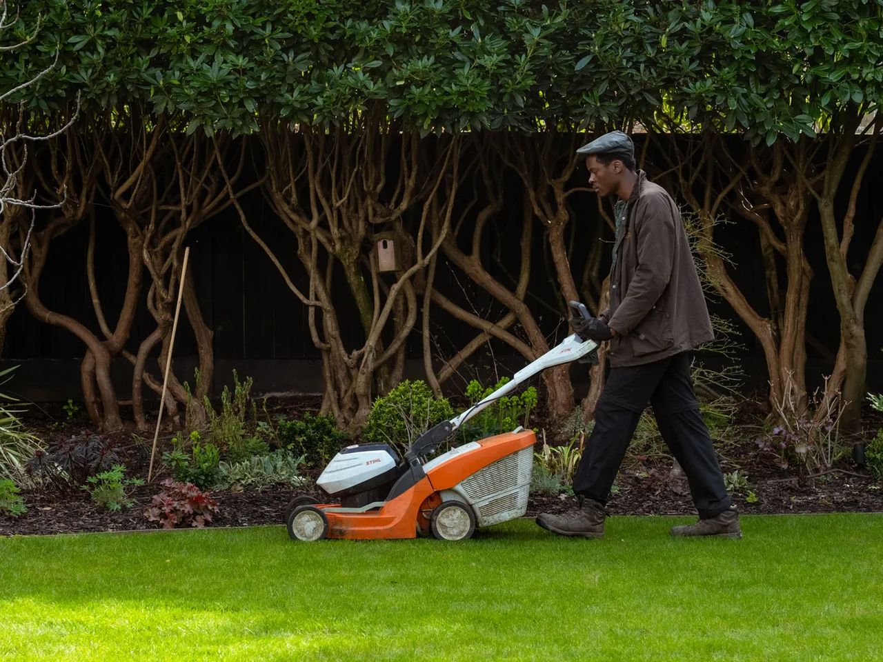 Lawn care and mowing