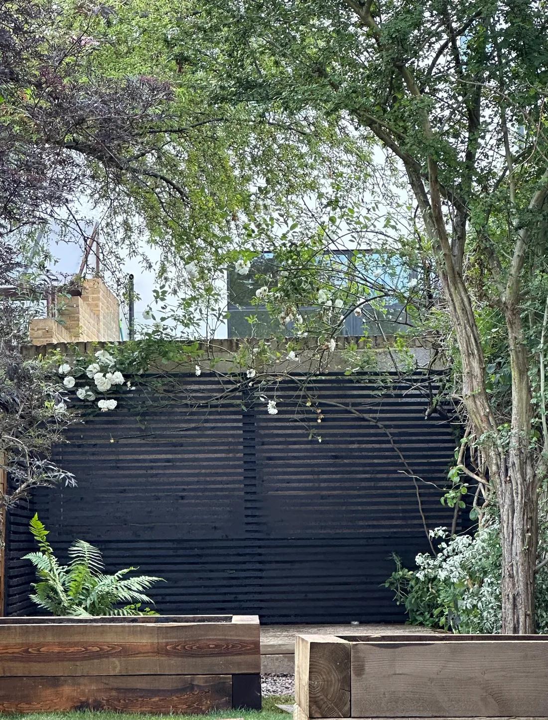 A garden we've restored
