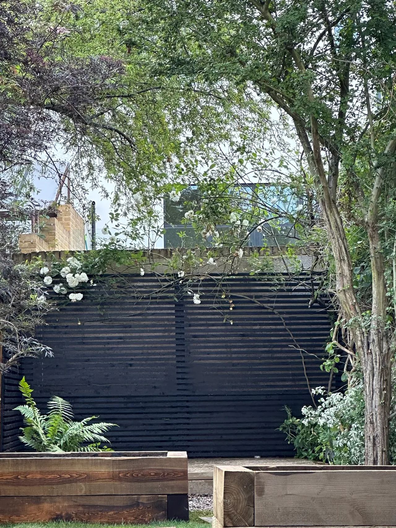 A garden we've restored