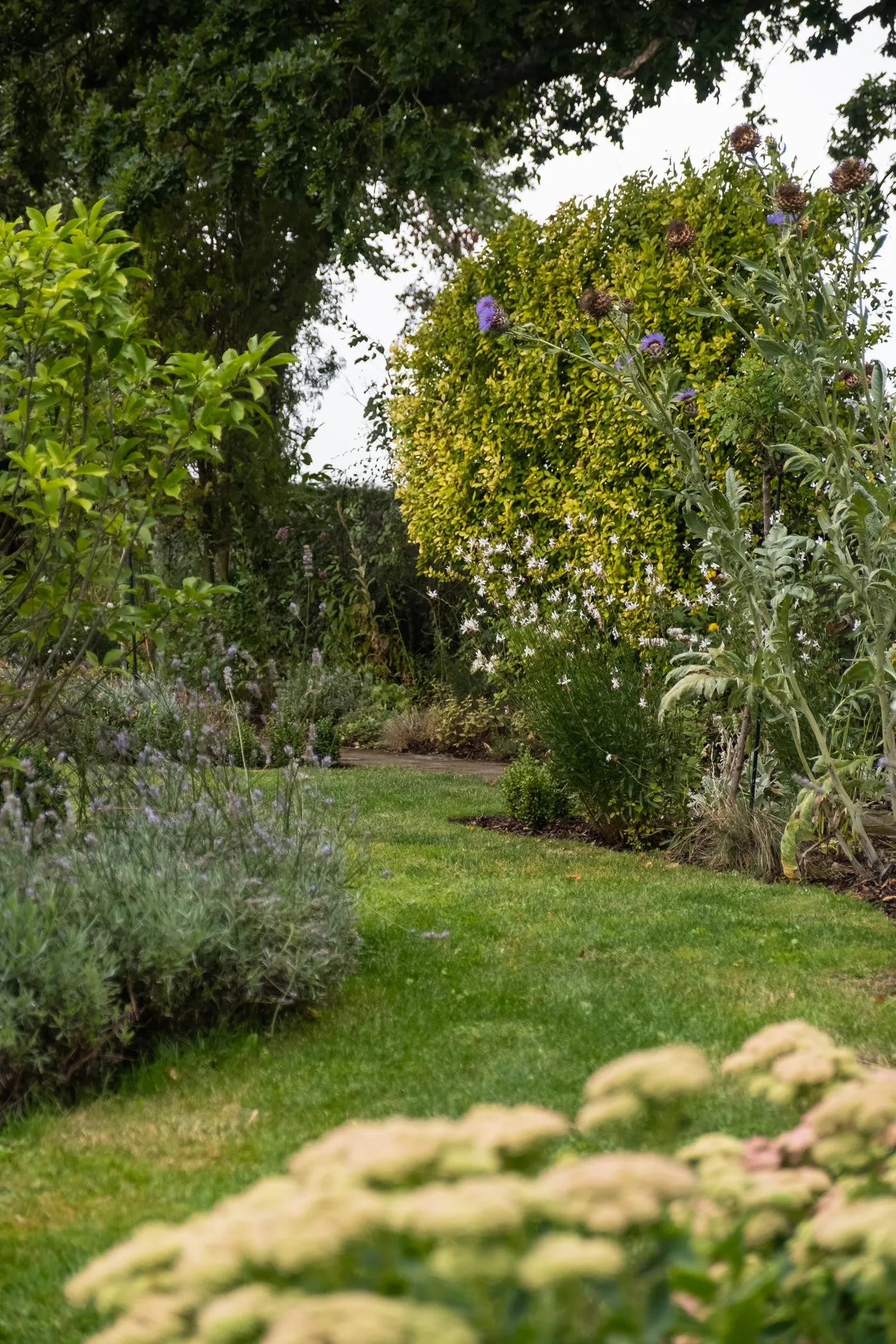 English Cottage Garden