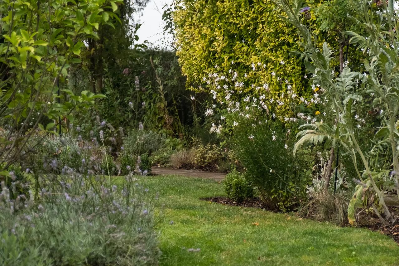 English Cottage Garden