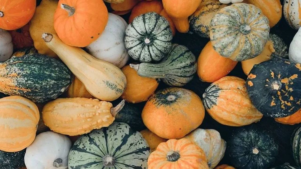 How to Reuse your Halloween Pumpkins