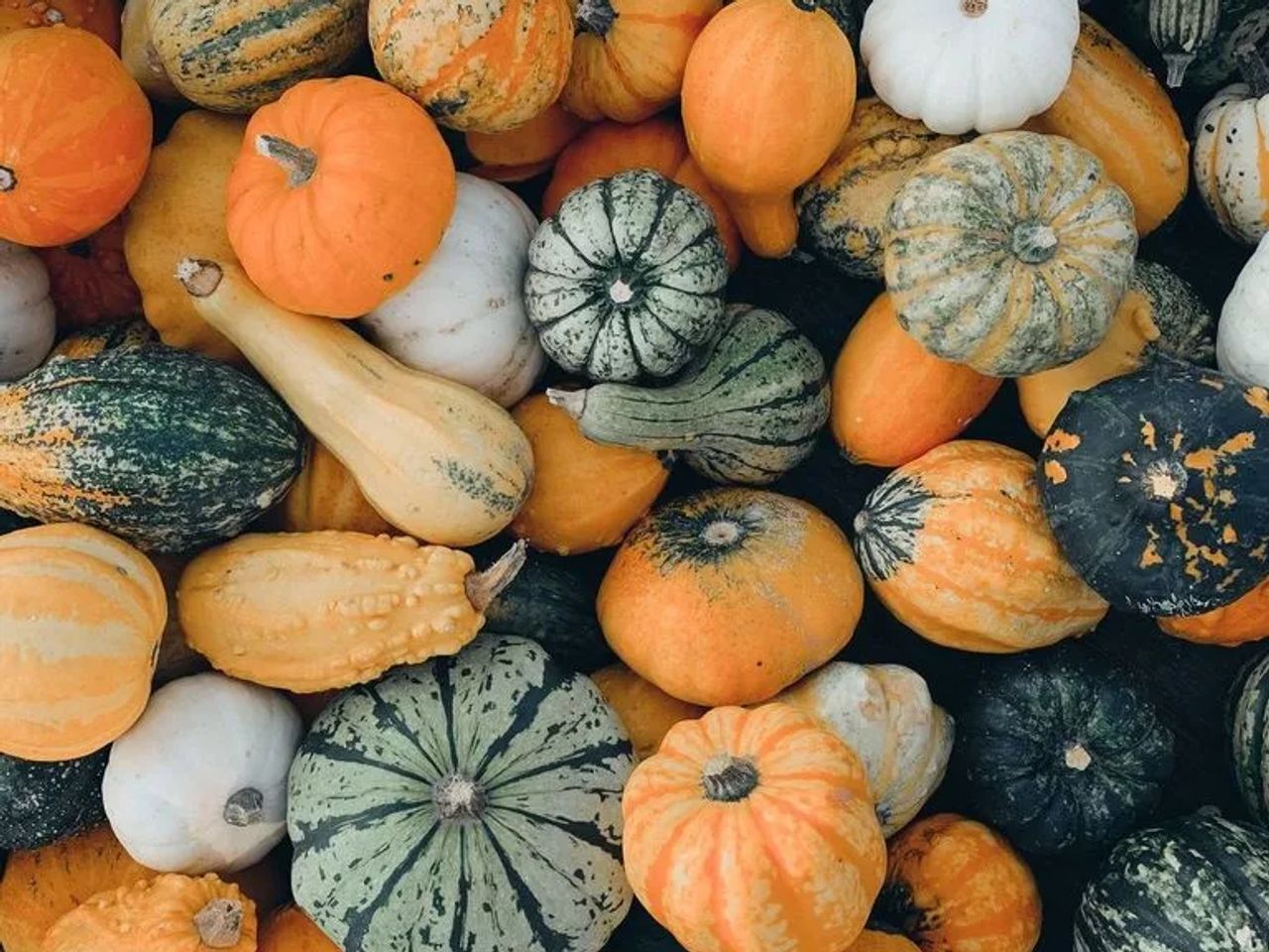 How to Reuse your Halloween Pumpkins