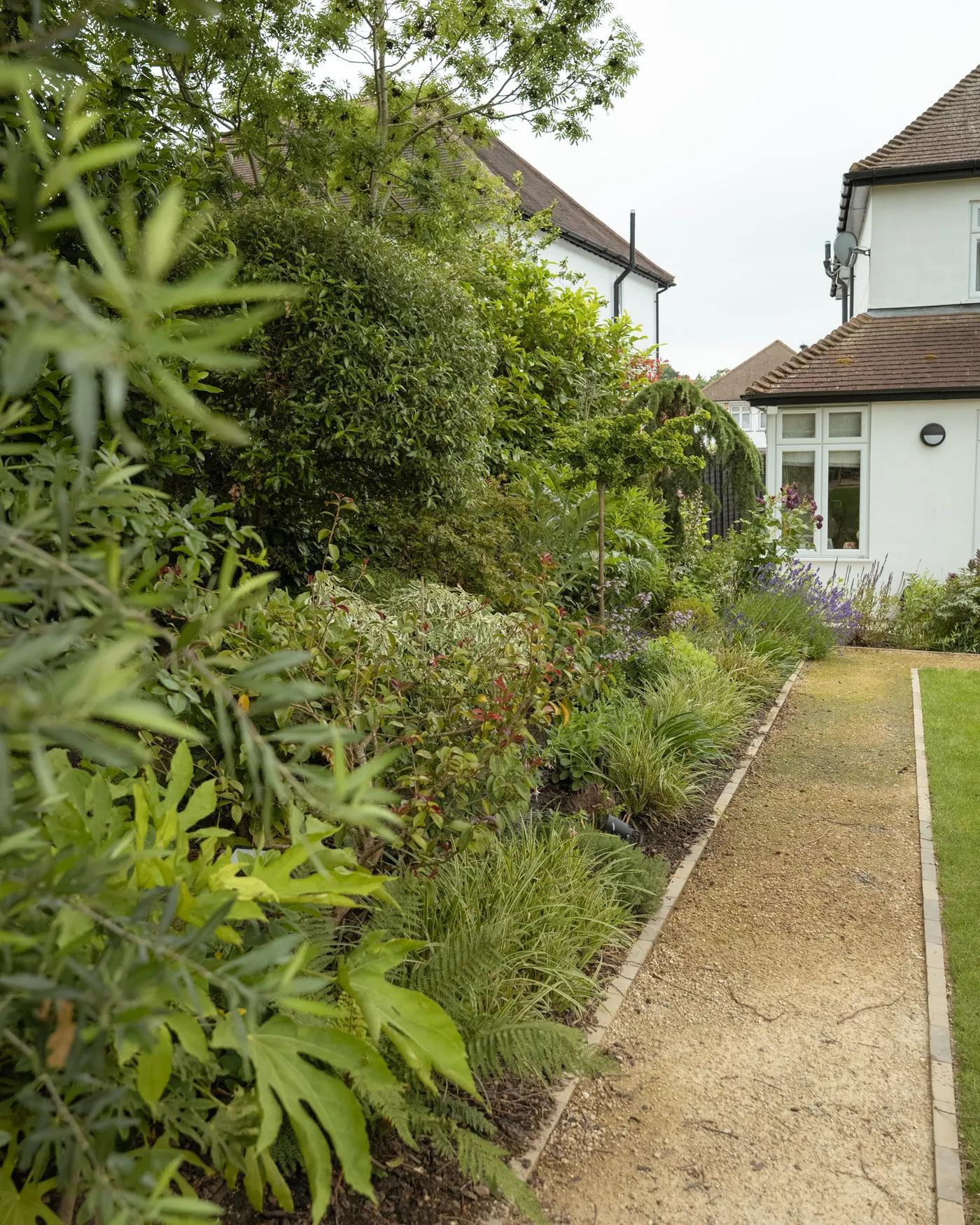 Contemporary English Garden
